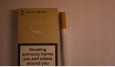 Camel Since 1913 Natural Flavour cigarettes hard box Camel Since 1913 Natural Flavour cigarettes hard box