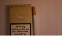 Camel Since 1913 Natural Flavour cigarettes hard box