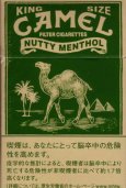 Camel Nutty Menthol cigarettes hard box