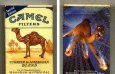 Camel Filters Special Edition Fallendes Camel cigarettes hard box