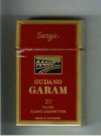 Gudang Garam Surya 100s 20 Filter Clove cigarettes hard box